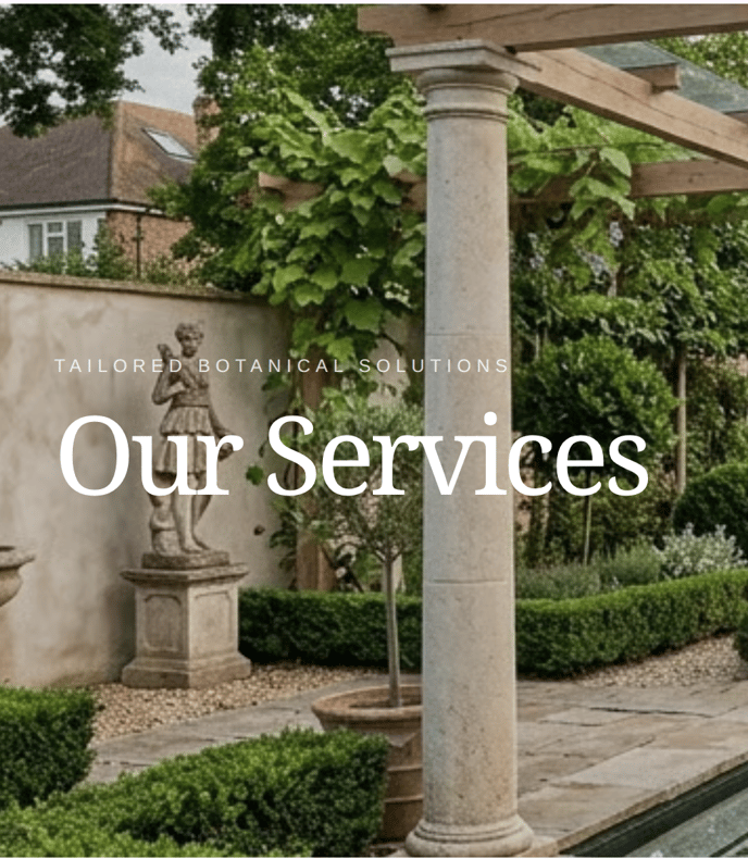 Botanical Architecture