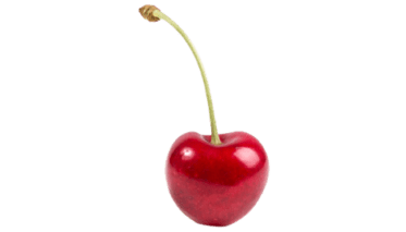 Post 2 placeholder image